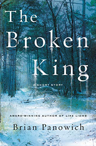 The Broken King cover