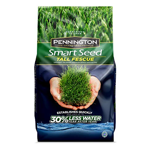 Pennington Smart Seed Tall Fescue Grass Seed 7 lb