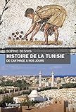 Histoire De La Tunisie De Carthage Nos Jours