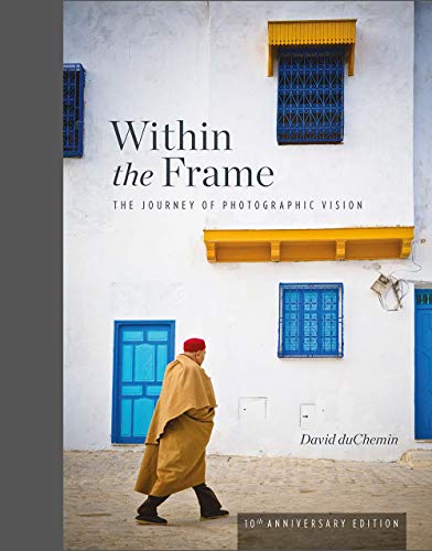 Within the Frame book cover