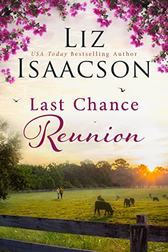 Her Last Second Chance / Last Chance Reunion book cover