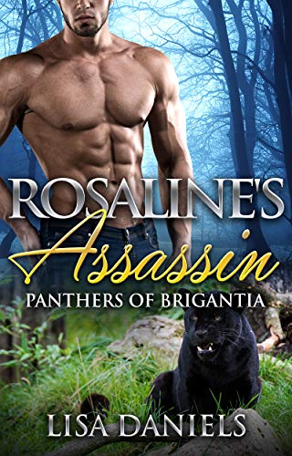 Rosaline's Assassin cover