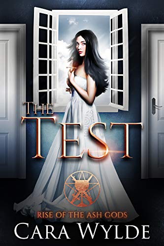 The Test book cover