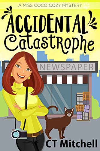 Accidental Catastrophe book cover