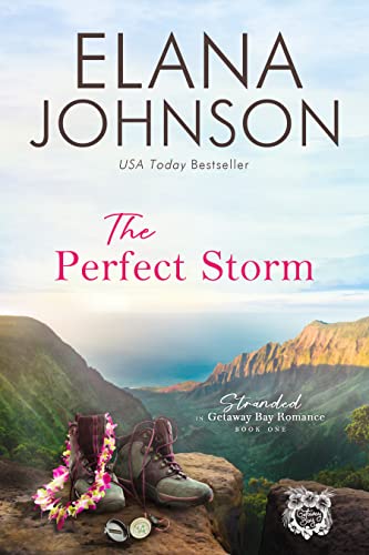 The Perfect Storm / Stranded with the Hidden Billionaire book cover