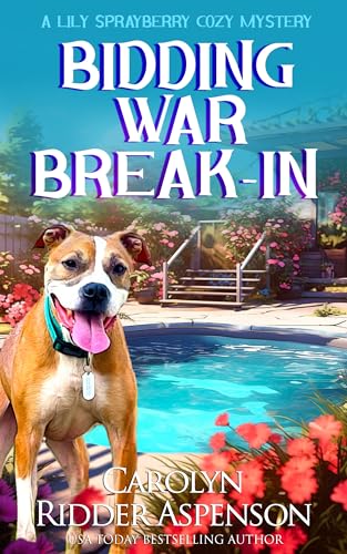 Bidding War Break In book cover