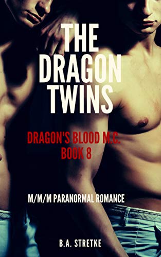 The Dragon Twins book cover
