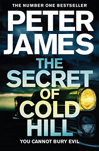 The Secret of Cold Hill book cover