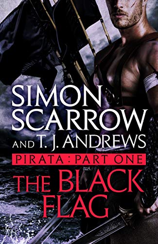 The Black Flag book cover