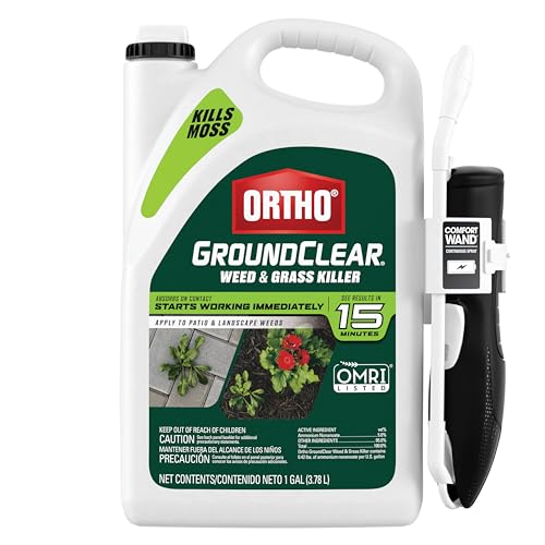 Ortho GroundClear Weed and Grass Killer with Comfort Wand Ready-to-Use 1 gal