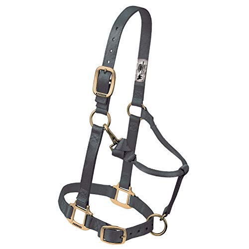 Weaver Leather Original Adjustable Chin and Throat Snap Halter, 1" Yearling Horse