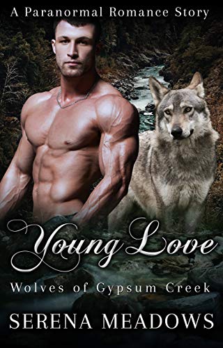 Young Love book cover