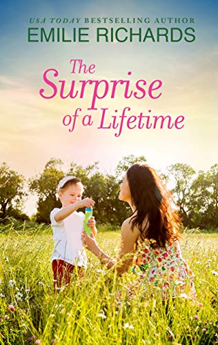 The Surprise of a Lifetime book cover