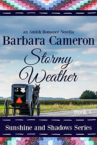 Stormy Weather book cover