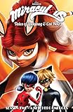Miraculous Tales Of Ladybug And Cat Noir Season Two A New Hero Emerges English Edition