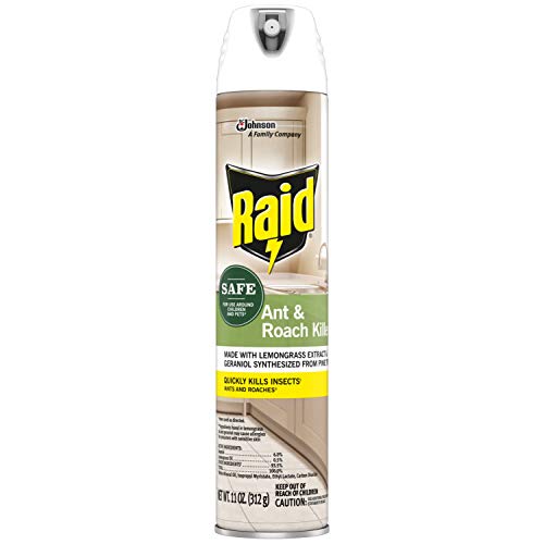 Ant And Roach Killer Aerosol Spray With Essential Oils 1