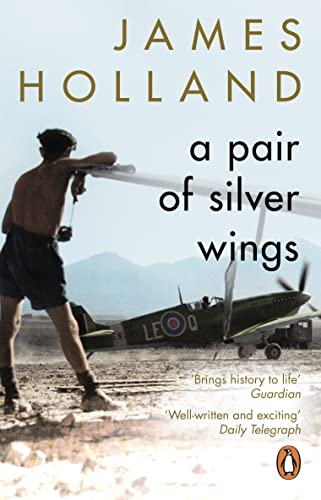 A Pair of Silver Wings book cover