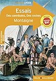 Essais : Des Cannibales   Des Coches