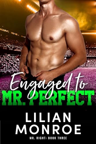 Engaged to Mr. Perfect book cover