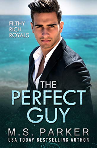 The Perfect Guy book cover