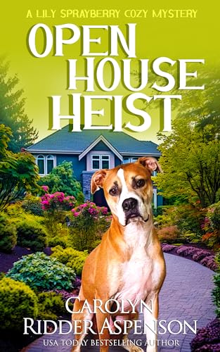 Open House Heist book cover