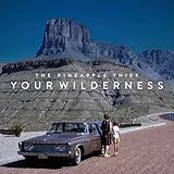 Your Wilderness (2016)