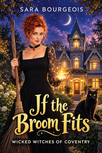 If the Broom Fits book cover