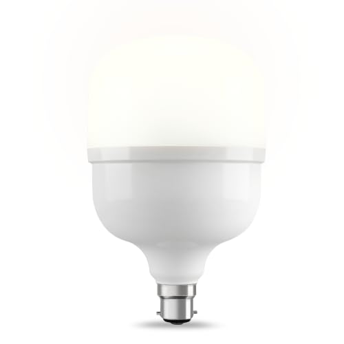Bajaj Ivora High Wattage Led Lamp 30W | Cool Day Light | Energy Efficient | B22 Led Bulb for Home | (Pack of 1) | White | 1 Yr Warranty