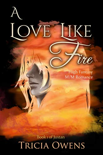 A Love Like Fire book cover