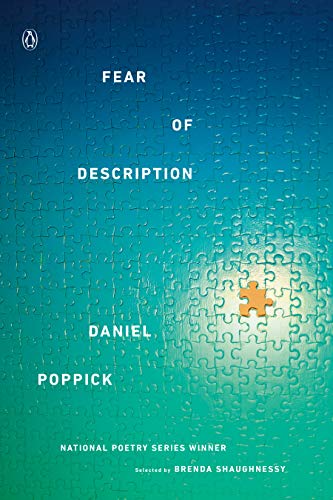 Fear of Description book cover
