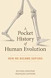 A Pocket History Of Human Evolution How We Became Sapiens