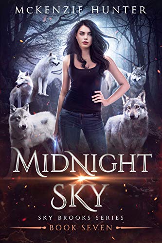 Midnight Sky book cover