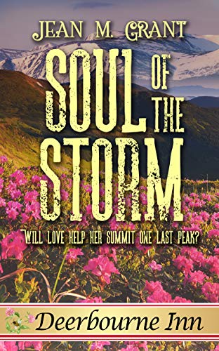 Soul of the Storm book cover