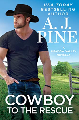 Cowboy to the Rescue book cover