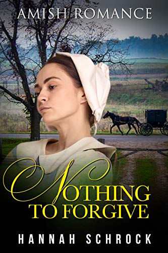 Nothing To Forgive book cover