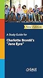 A Study Guide New Edition For Charlotte Brontes Jane Eyre Novels For Students Book 60 English Edition