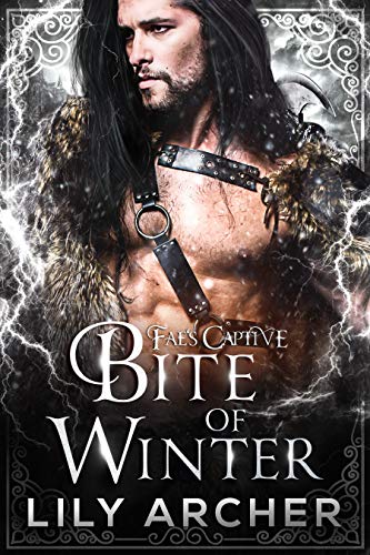 Bite Of Winter book cover