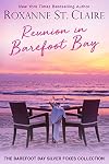 Reunion in Barefoot Bay: The Barefoot Bay Silver Fox Collection (Barefoot Bay Series Book 4)