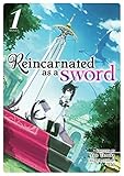 Reincarnated As A Sword Light Novel Vol 1 English Edition