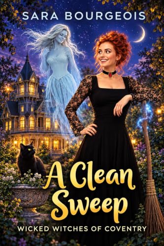A Clean Sweep book cover
