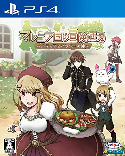 みんなで決めるケムコのゲーム人気ナンバー1投票＆ランキング　25位　マレニア国の冒険酒場の画像