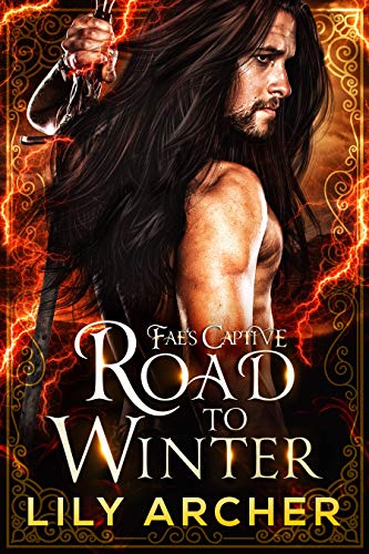 Road To Winter book cover