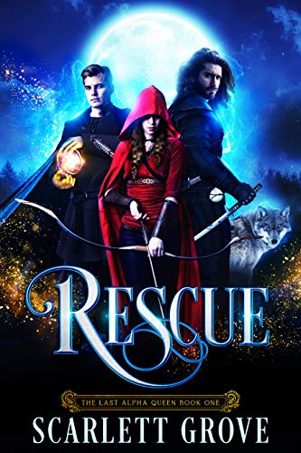 Rescue book cover
