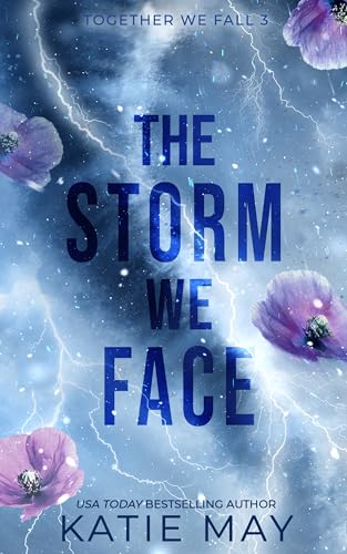 The Storm We Face book cover