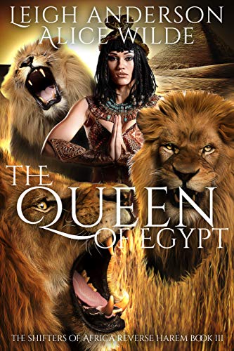 The Queen of Egypt book cover