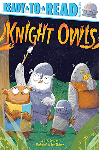 Knight Owls (By: Eric Seltzer) cover