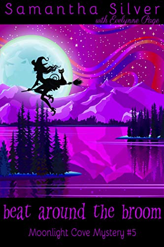 Beat Around the Broom book cover