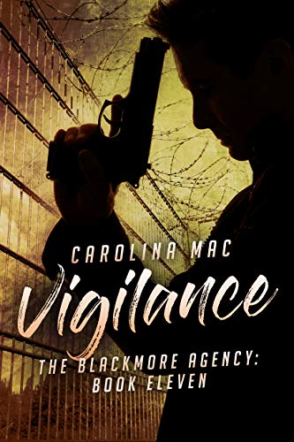 Vigilance book cover