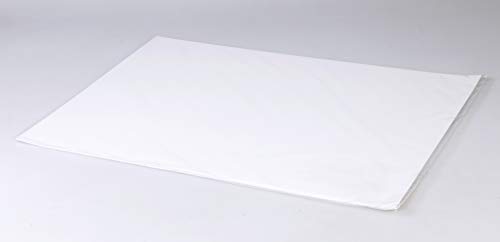 Clairefontaine - Ref 975193C - Lavis Dessin Technical Drawing Sheets (10 Sheets) - A2 (594 x 420mm) Size, 200gsm Paper, Smooth Surface with Light Grain, Acid Free, pH Neutral