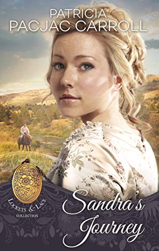 Sandra's Journey book cover